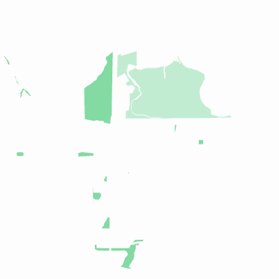 Export Image